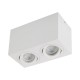 REDO GROUP - XBRIX 2 LUCI SOFFITTO LED