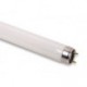 LAMPADINA FLUORESCENTE LINEARE T8 15W