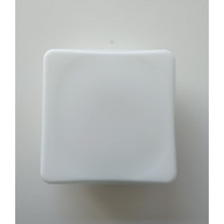 PAN INTERNATIONAL - CLARA 55x30 PARETE/SOFFITTO