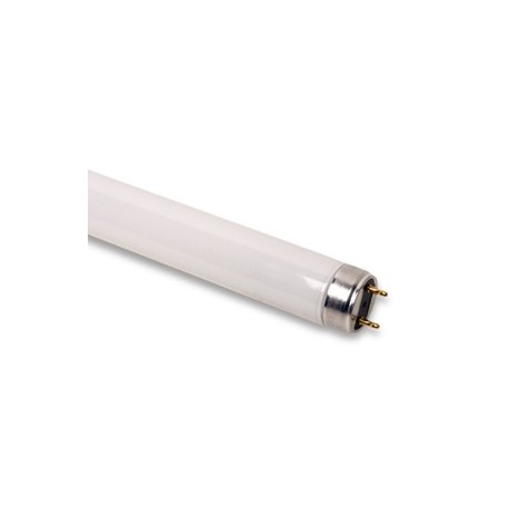 LAMPADINA FLUORESCENTE LINEARE T8 18W