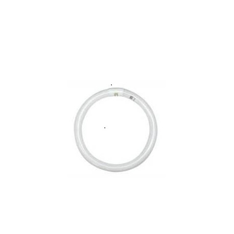CIRCOLINA T8 22W