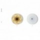 LIGHT4/MURANO LUCE - DROP PARETE SOFFITTO 60